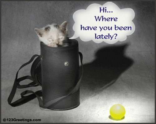 Where have you been
